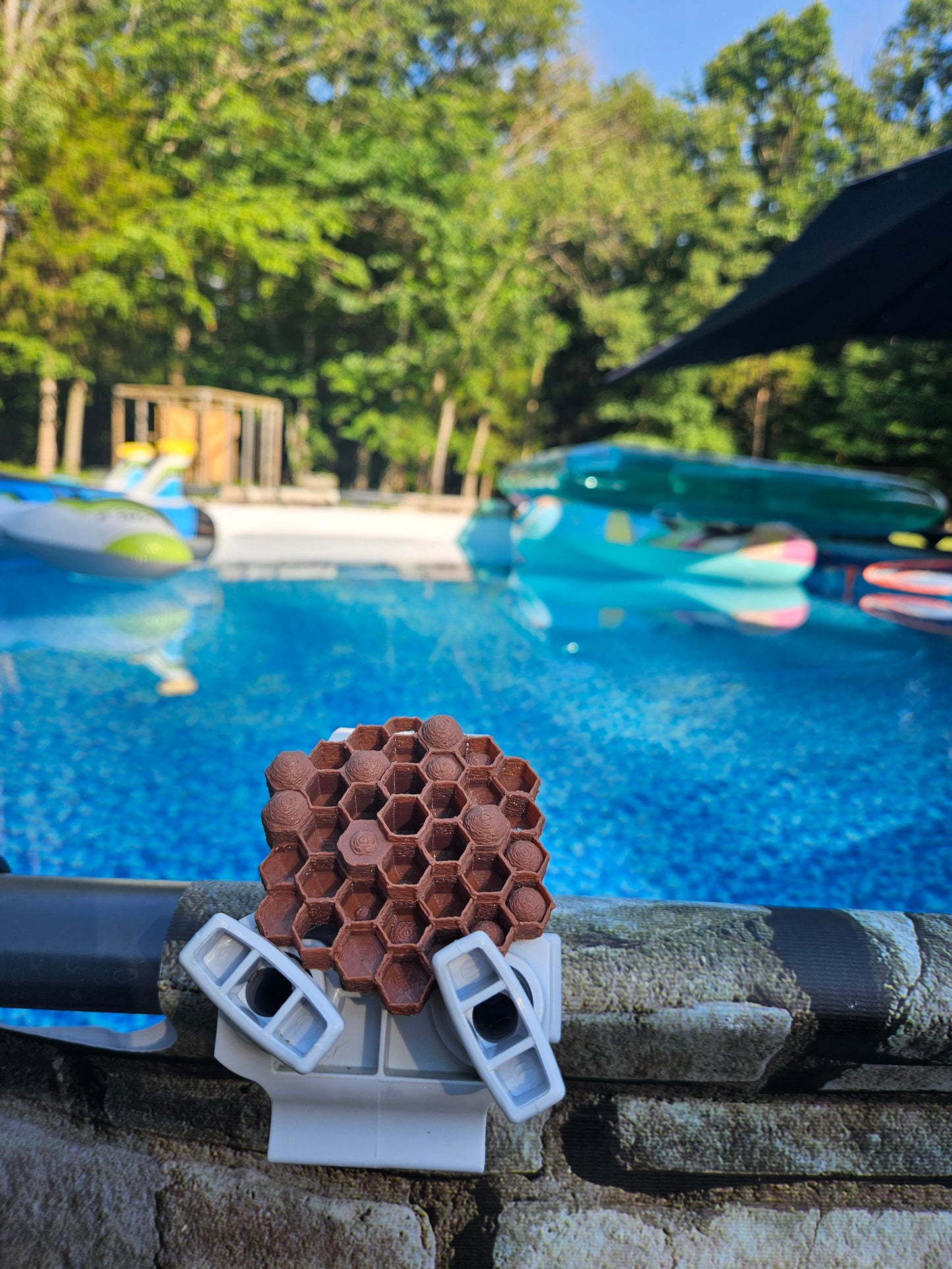 Brown Wasp Nest Decoy – Natural Outdoor Wasp Repellent & Deterrent